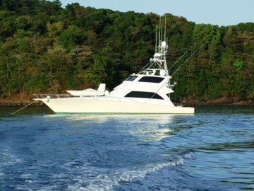 Penny Perfect - 2006 VIKING 74' Enclosed Bridge