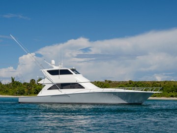No Name 74 - 2007 VIKING 74' Enclosed