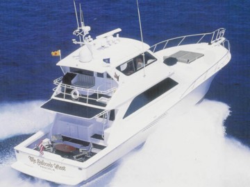 FALCON'S NEST - 2001 VIKING 65' 65 Convertible