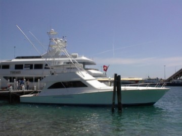 Gunamo - 2001 VIKING 65'