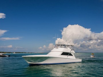 Fin Way - 2002 VIKING 65'