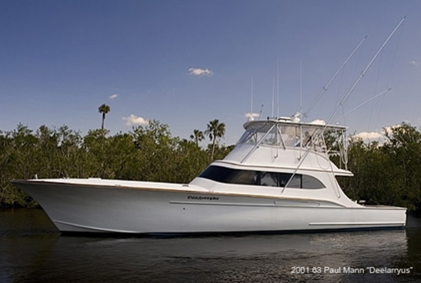 Deelarryus - 2001 PAUL MANN CUSTOM BOATS 63' Sport