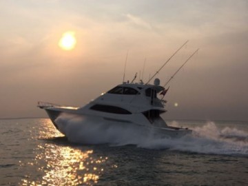 Jester - 2005 BERTRAM 63' 630