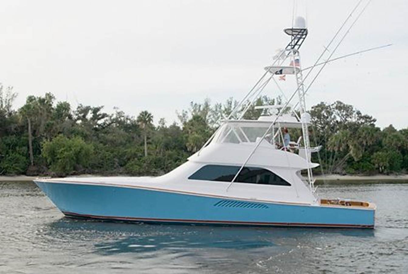 HEAVY IRON - 2006 VIKING 61'